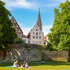 Zwischen Donau und Altstadt