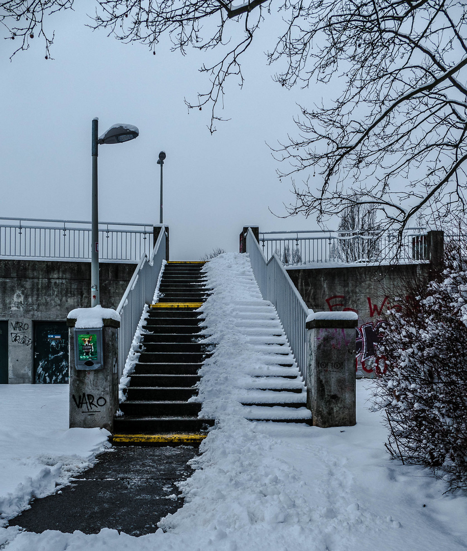 Zwischen Donau und Handelskai (1)