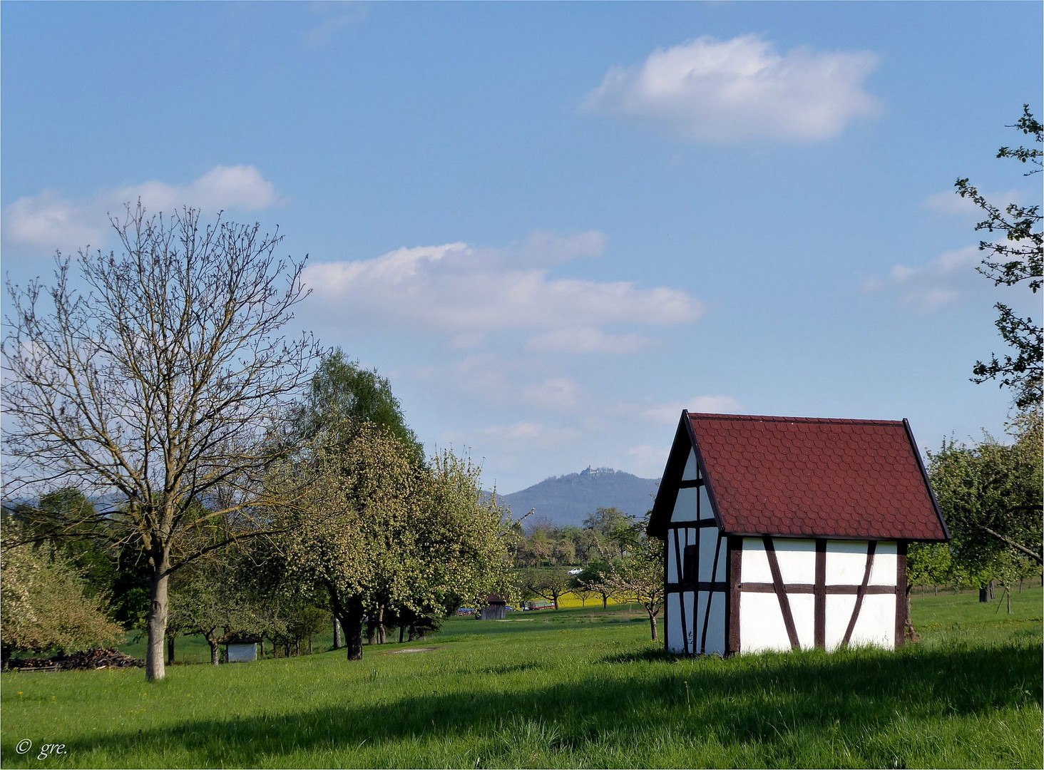 Zwischen Dorf und Wald