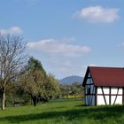 Zwischen Dorf und Wald