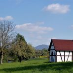 Zwischen Dorf und Wald