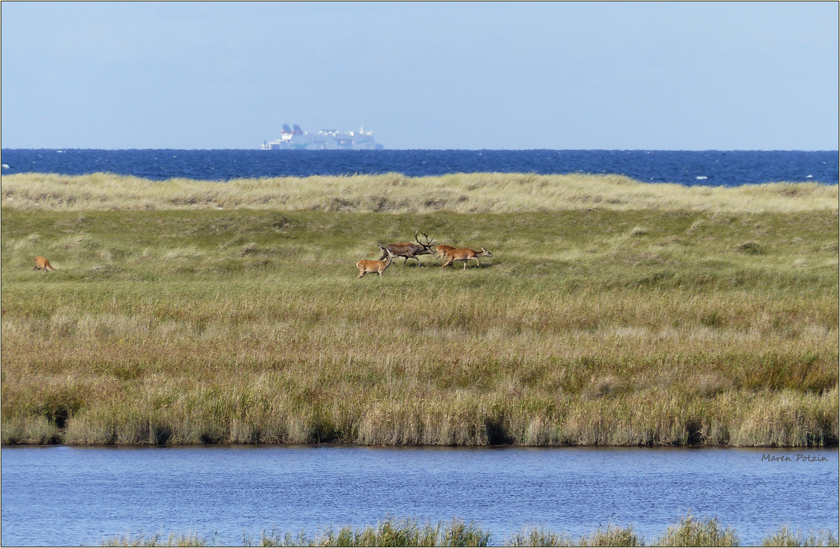 Zwischen Düne und Meer