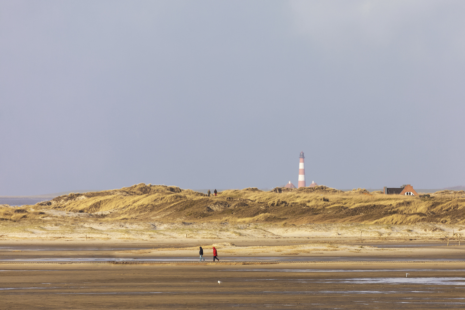 Zwischen Dünen und Meer