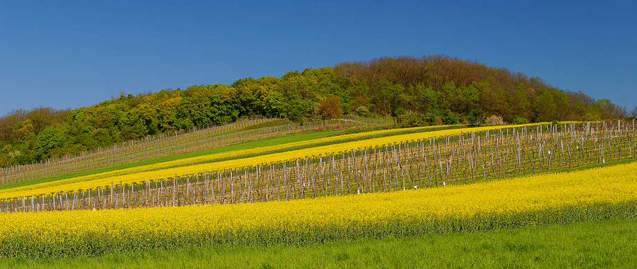 Zwischen Edelstal und Berg