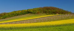 Zwischen Edelstal und Berg