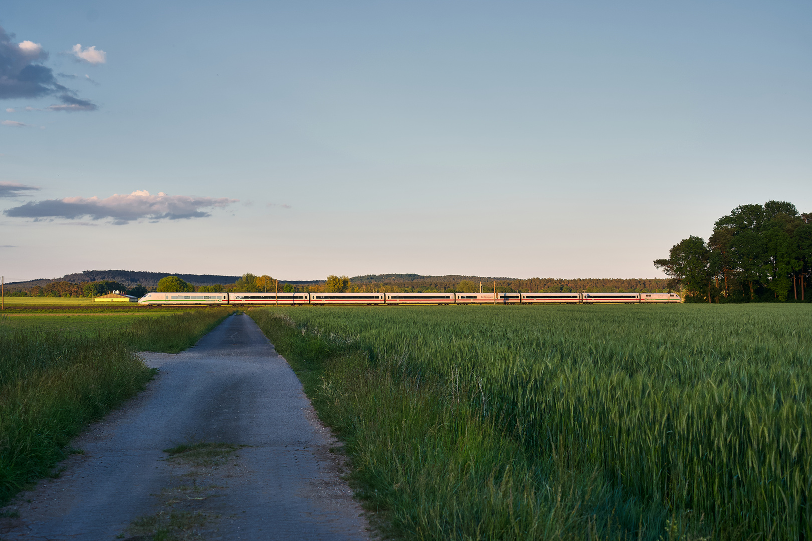 Zwischen Eichen und Schweinestall