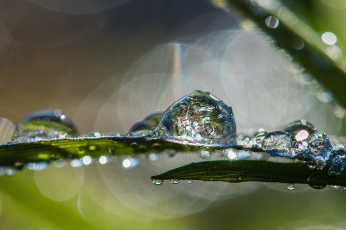 Zwischen Eis und Wasser