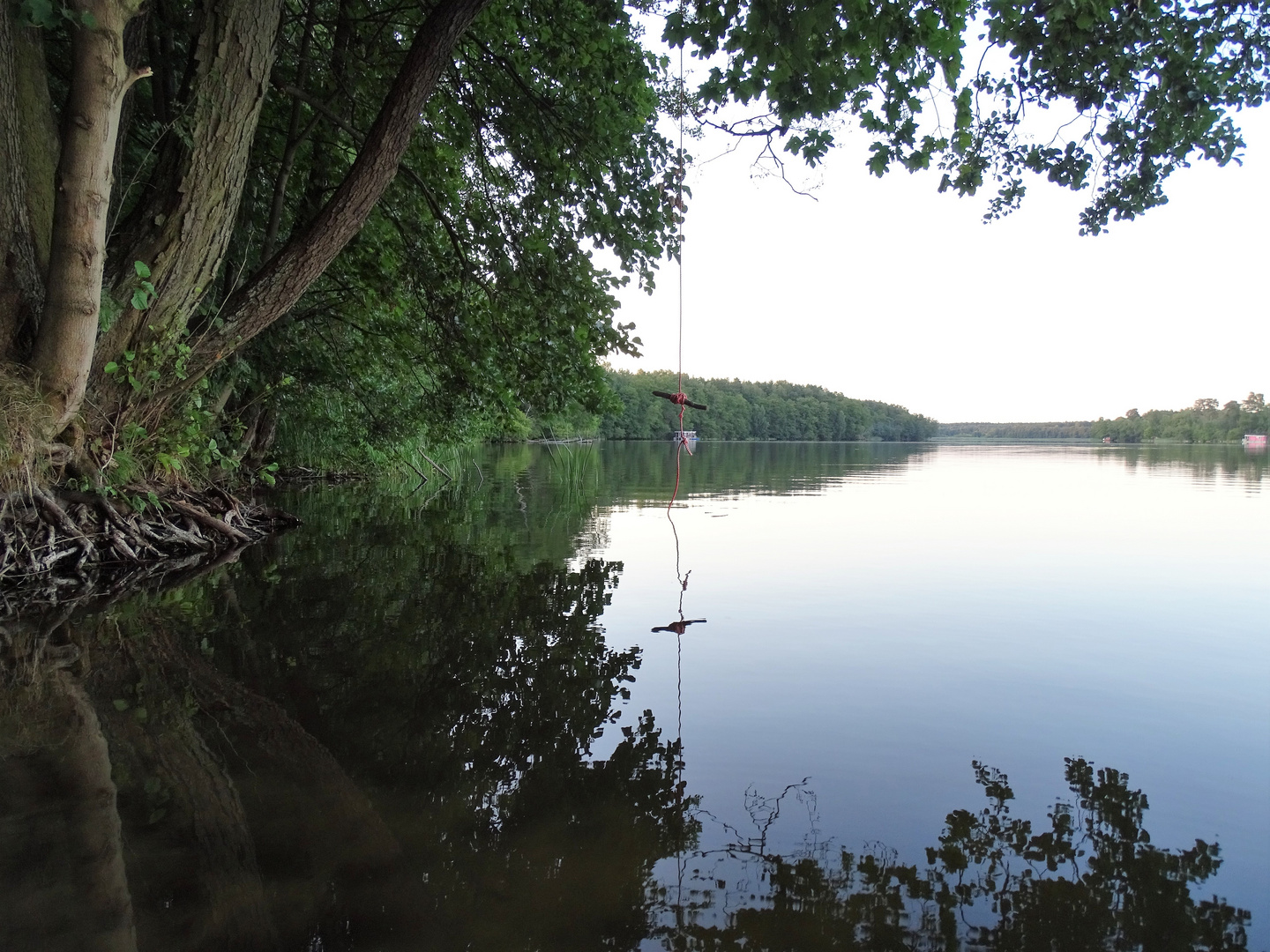 Zwischen Elbe, Uckermark und Schorfheide