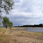 Zwischen Elbe, Uckermark und Schorfheide