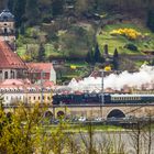 Zwischen Elbe und Königstein