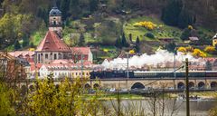 Zwischen Elbe und Königstein