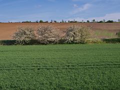 Zwischen Erdeborn und Hornburg