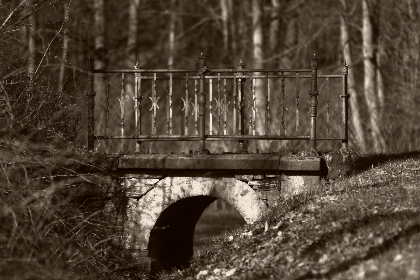 „Zwischen Freud und Leid Ist die Brücke nicht breit.“