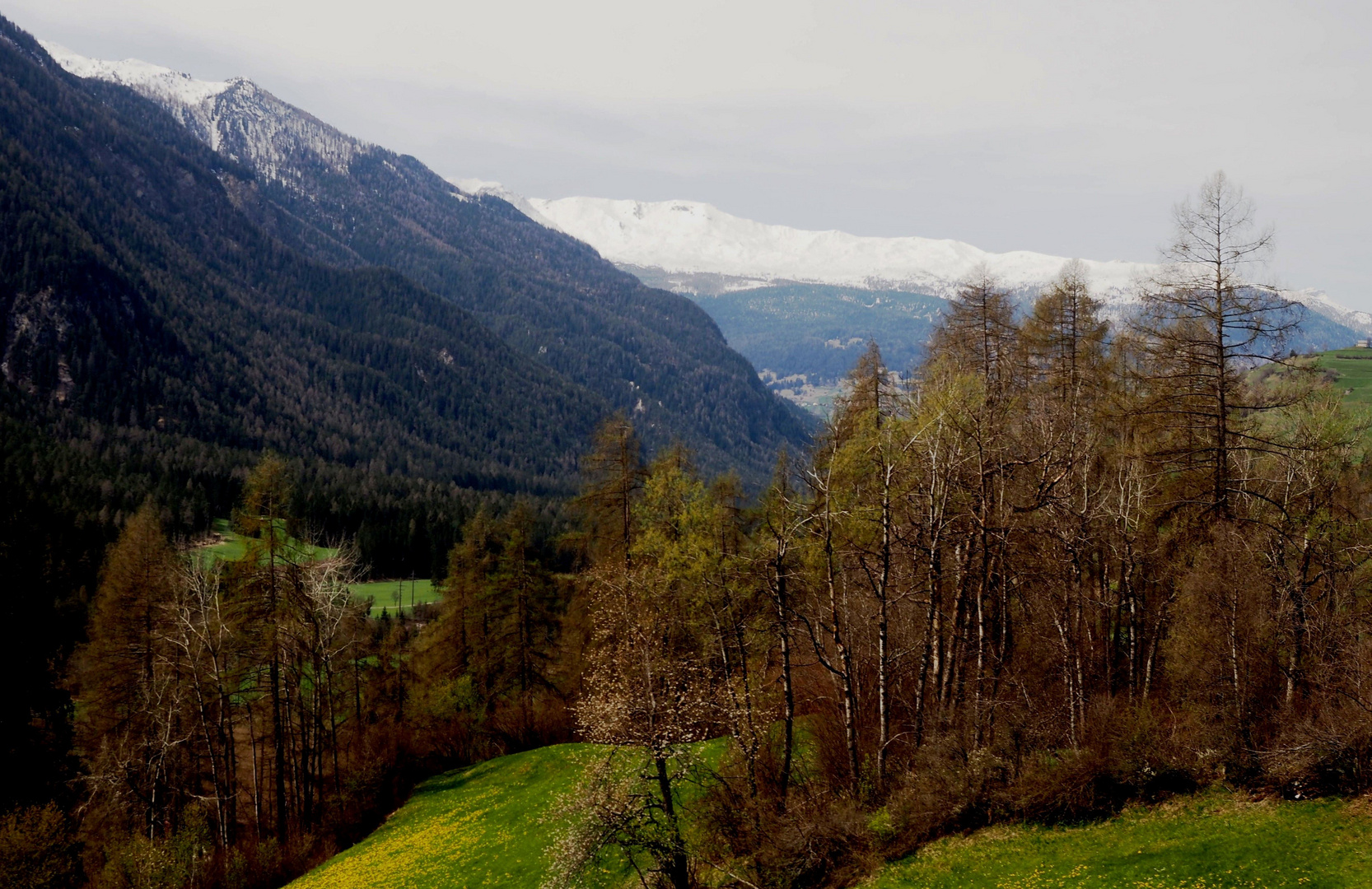 Zwischen Frühling und Winter