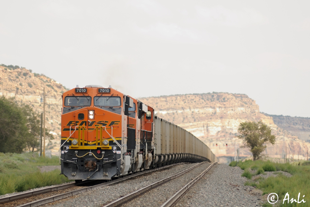 Zwischen Gallup und Hoolbrook: BNSF coaltrain