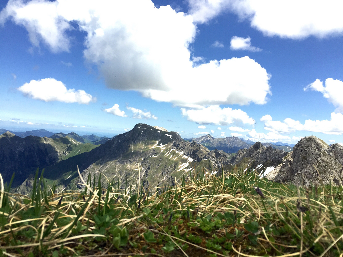 zwischen gräsern und wolken