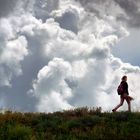 Zwischen Gras und Wolken