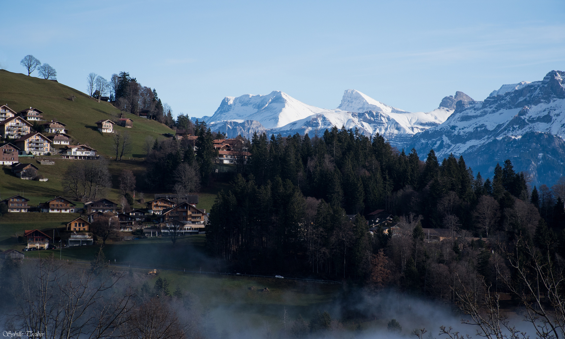 Zwischen Grün und Weiß