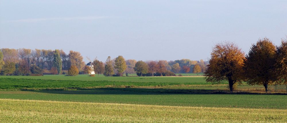 Zwischen Harz und Heide