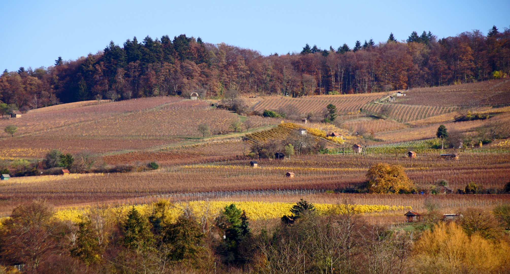 Zwischen Heppenheim und Laudenbach