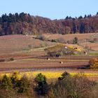 Zwischen Heppenheim und Laudenbach