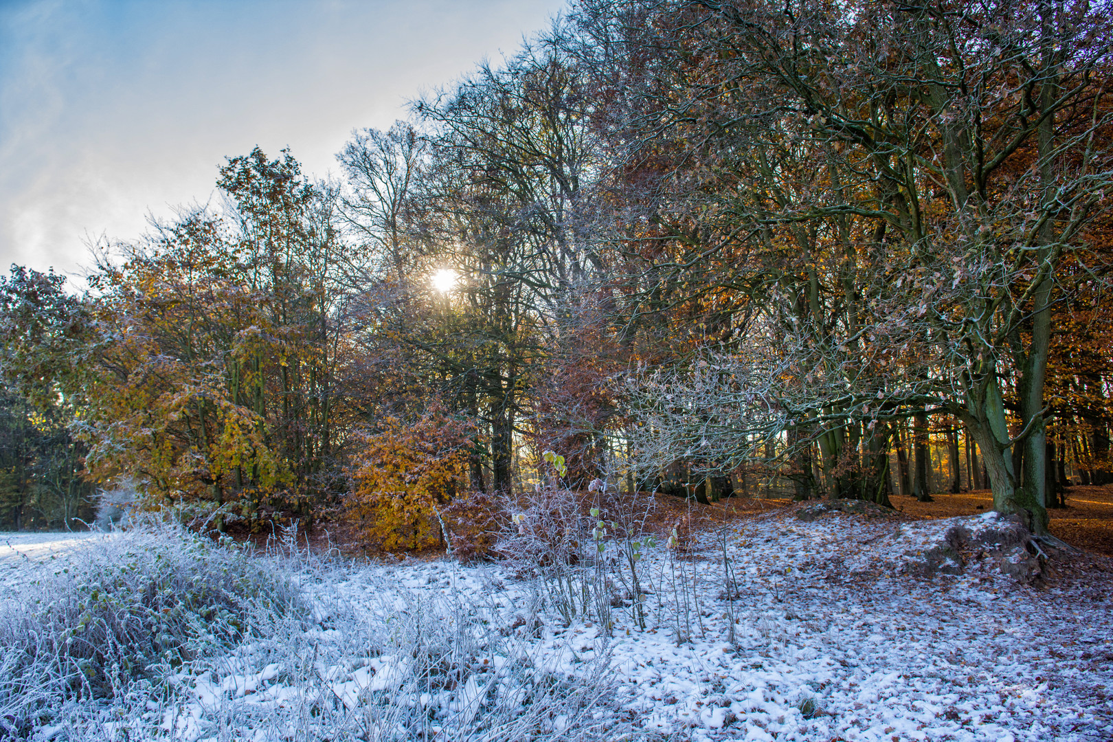 zwischen herbst u winter