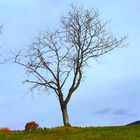 Zwischen Herbst und Schnee