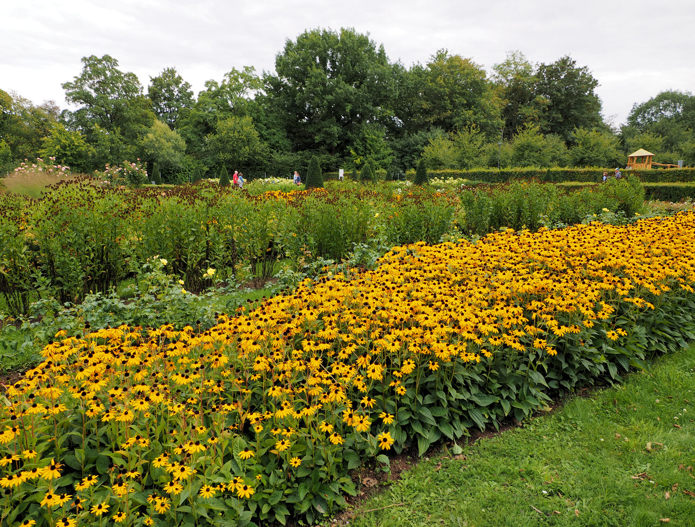 Zwischen Herbst und Sommer ... 