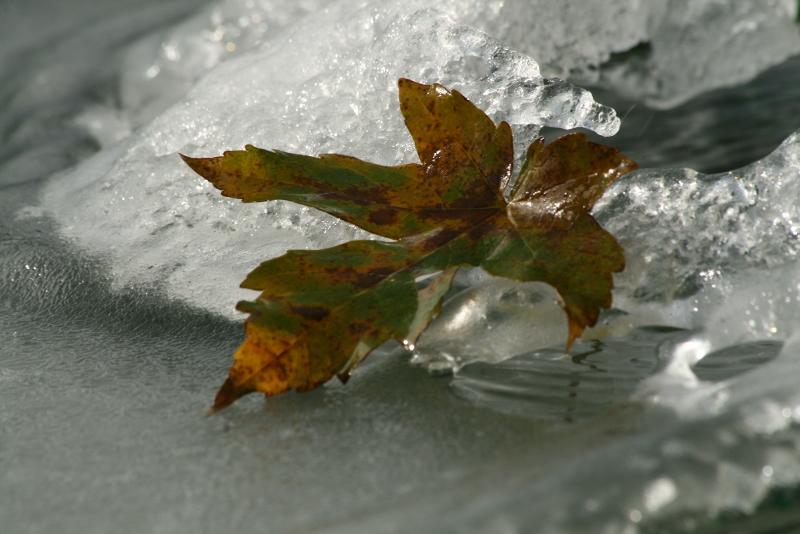 Zwischen Herbst und Winter