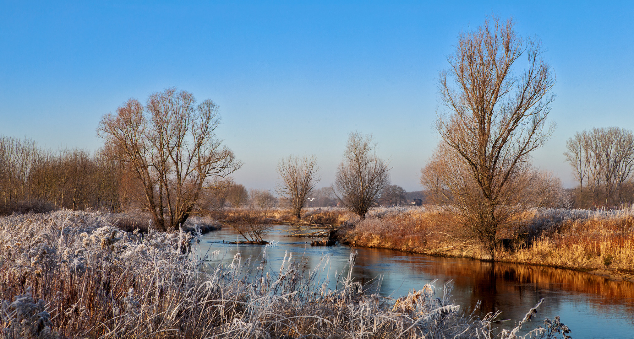 Zwischen Herbst und Winter