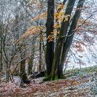 zwischen Herbst und Winter (2)