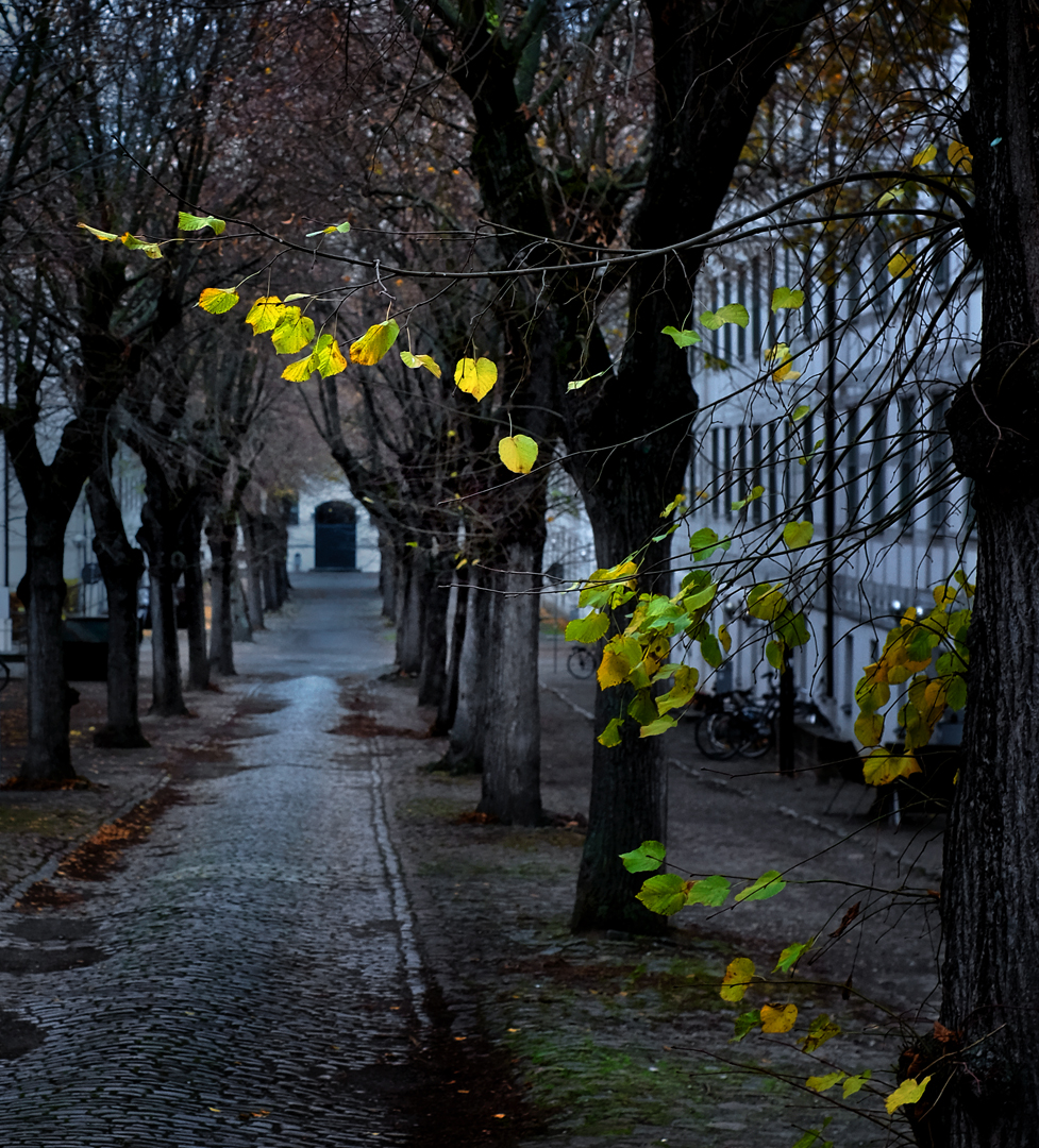 Zwischen Herbst und Winter