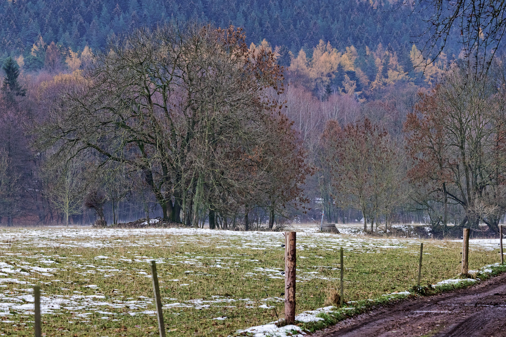 Zwischen Herbst und Winter