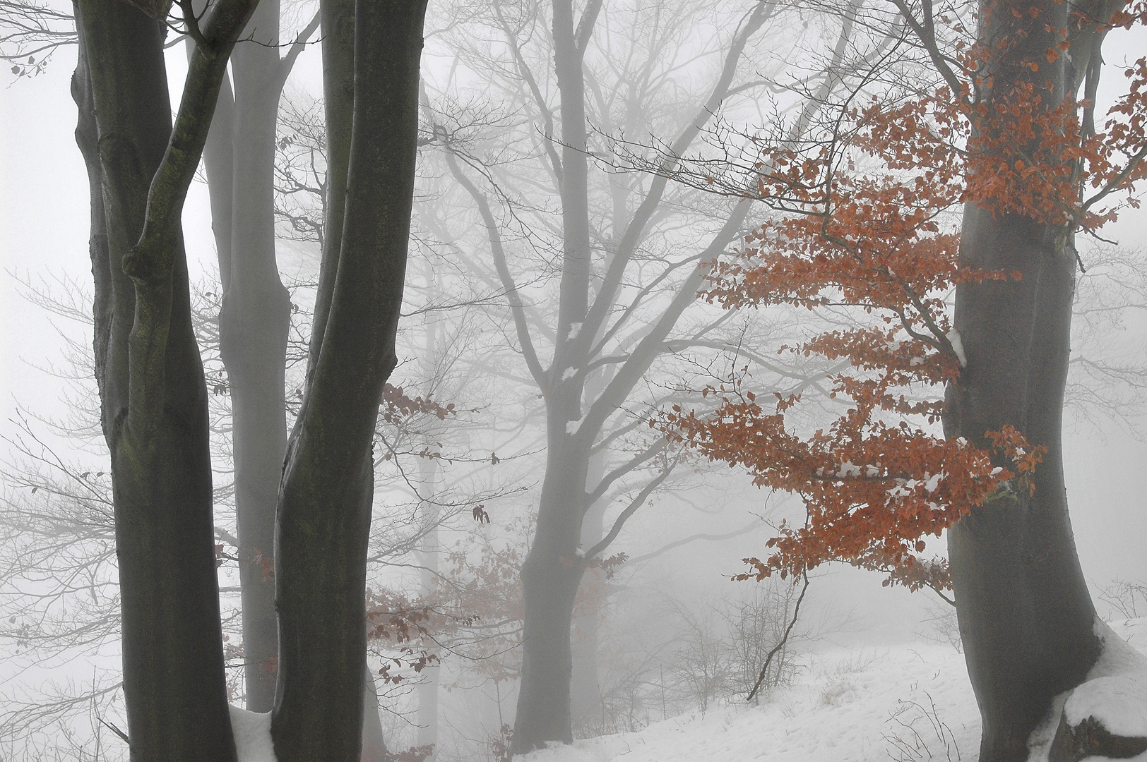 Zwischen Herbst und Winter