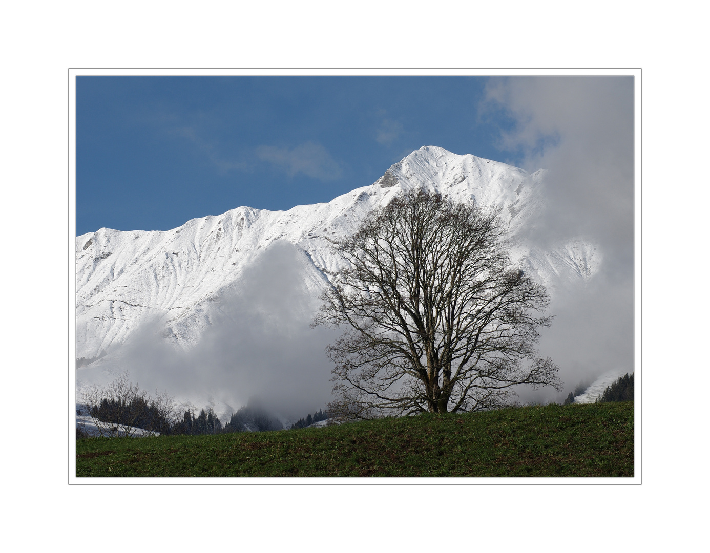 zwischen herbst und winter...