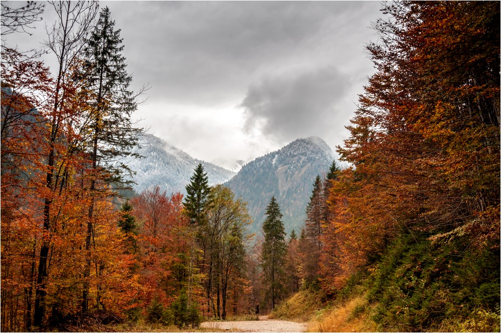 Zwischen Herbst und Winter