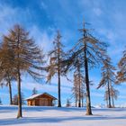 Zwischen Herbst und Winter