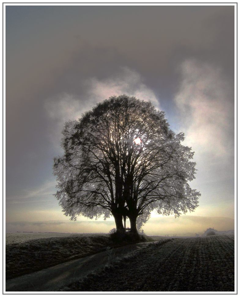 zwischen Herbst und Winter