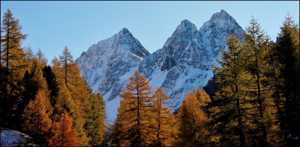 ZWISCHEN HERBST UND WINTER