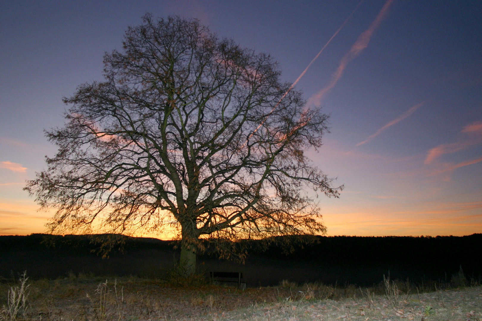 zwischen Herbst und Winter