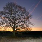 zwischen Herbst und Winter