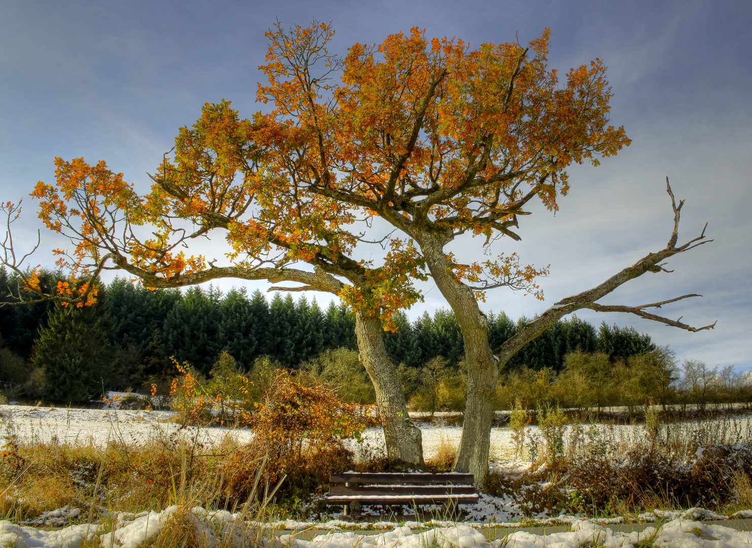 Zwischen Herbst und Winter