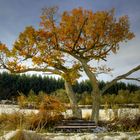 Zwischen Herbst und Winter