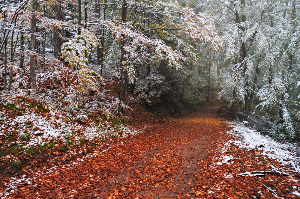 Zwischen Herbst und Winter