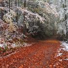 Zwischen Herbst und Winter