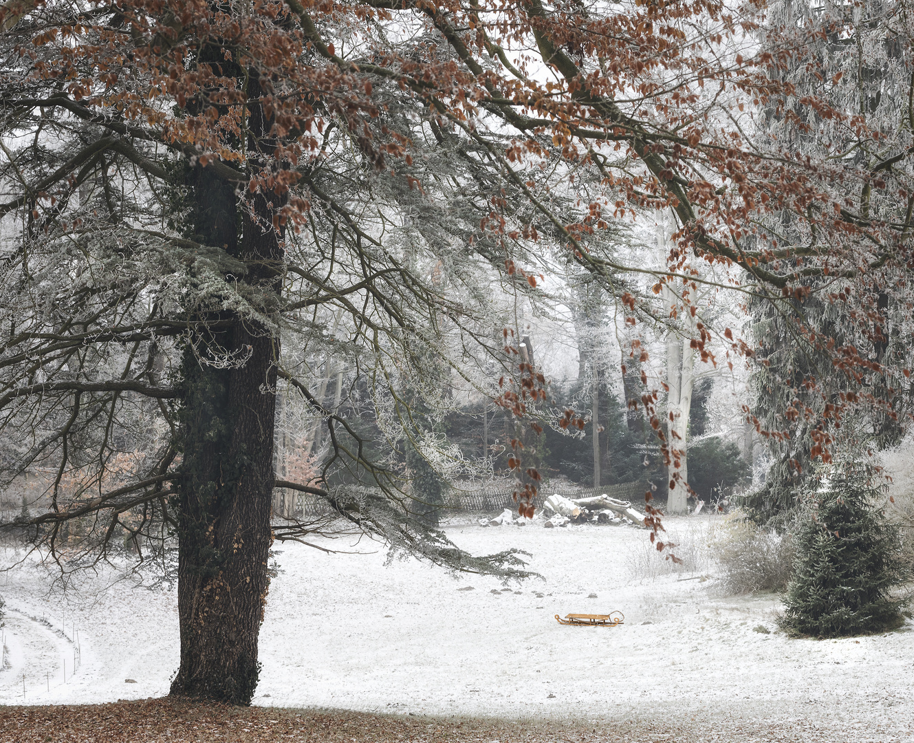 zwischen Herbst und Winter