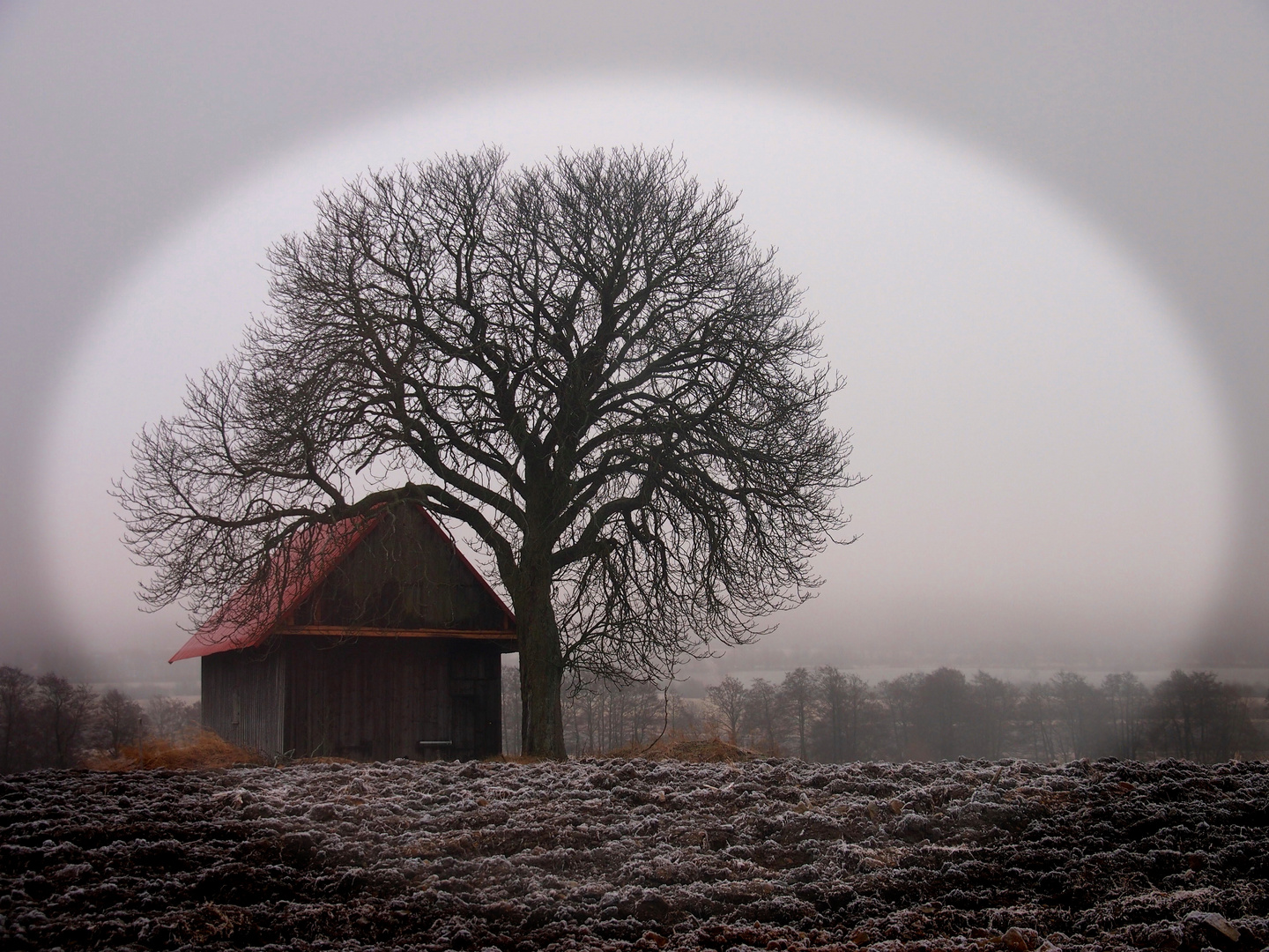 Zwischen Herbst und Winter