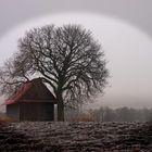 Zwischen Herbst und Winter