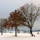 Zwischen Herbst und Winter