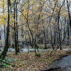 zwischen Herbst und Winter Panorama